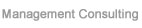 Management Consulting