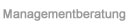 Managementberatung
